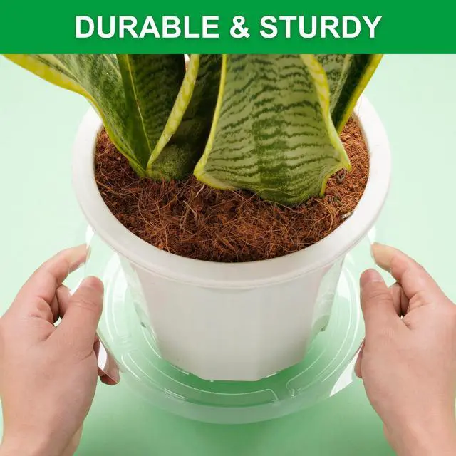 Alt view image 4 of 7 - 24 Pack Clear Plant Saucers - 6, 8, 10, 12 Inch Plastic Plant Trays for Pots, Flower Pot Saucers, Indoor & Outdoor Planter Drip Tray for Water Drainage & Protection