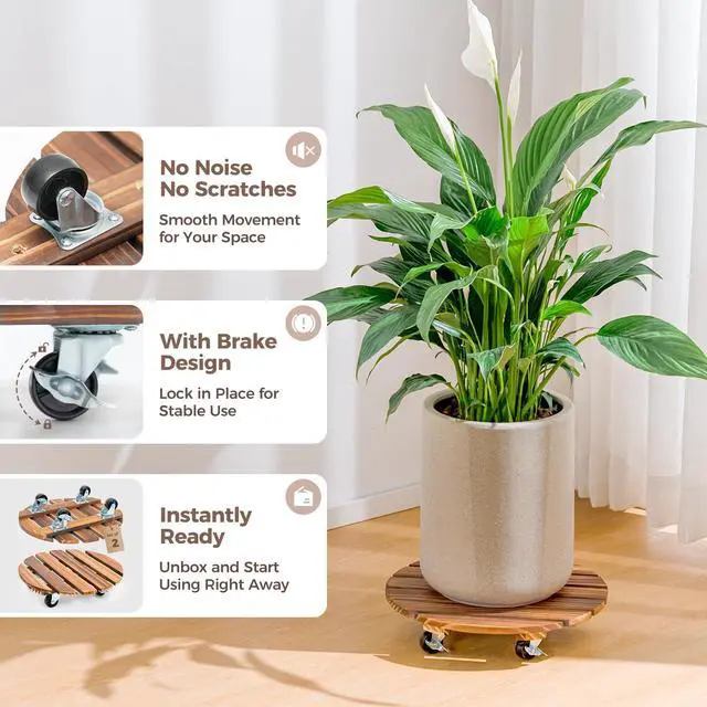 Alt view image 4 of 7 - Plant Caddy 12 Inch Rolling Tray with Wheels 2 Pack | Heavy-duty planter dollies make large pots easy to move indoors or outdoors.