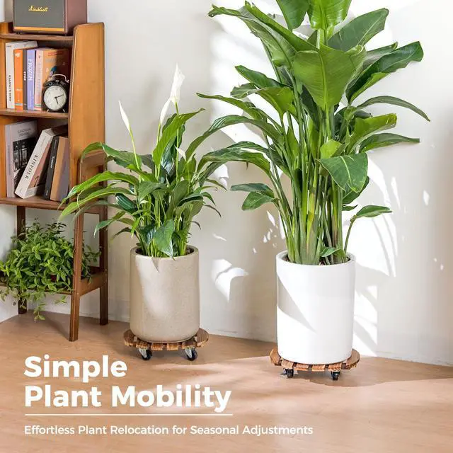 Alt view image 5 of 7 - Plant Caddy 12 Inch Rolling Tray with Wheels 2 Pack | Heavy-duty planter dollies make large pots easy to move indoors or outdoors.