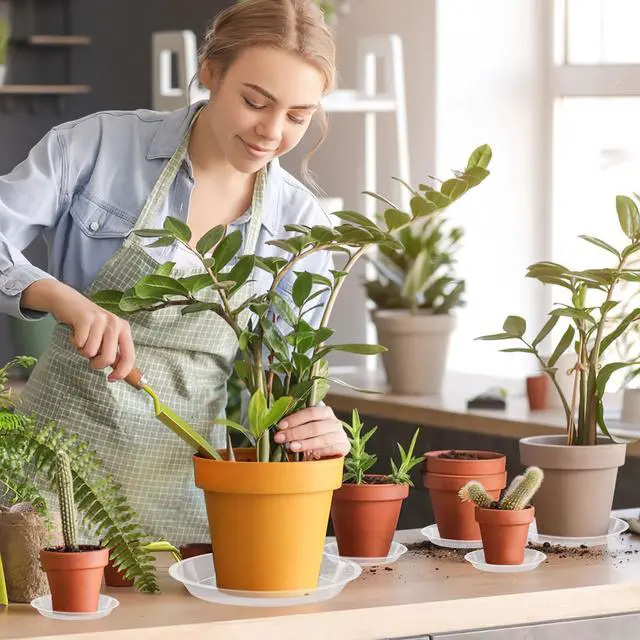 Alt view image 5 of 7 - 18 Pack Plant Saucer, Clear Drip Trays for Potted Plants, 4 Sizes | Plastic Plant Pot Trays, 4 to 10 Inch, Catch Excess Soil Water Runoff, Ideal for Gardens Balconies and Indoors