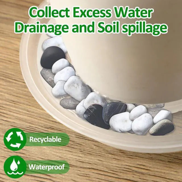 Alt view image 7 of 7 - 18 Pack Plant Saucer, Clear Drip Trays for Potted Plants, 4 Sizes | Plastic Plant Pot Trays, 4 to 10 Inch, Catch Excess Soil Water Runoff, Ideal for Gardens Balconies and Indoors