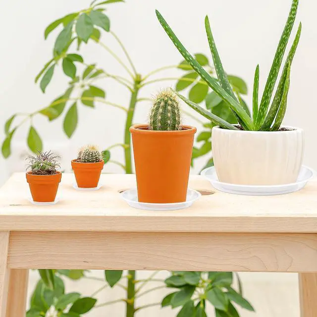 Alt view image 6 of 7 - 18 Pack Plant Saucer, Clear Drip Trays for Potted Plants, 4 Sizes | Plastic Plant Pot Trays, 4 to 10 Inch, Catch Excess Soil Water Runoff, Ideal for Gardens Balconies and Indoors
