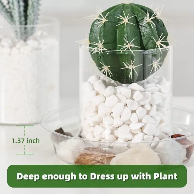 Alt view image 4 of 7 - 15 Pack(6 inch/8inch/10inch) Clear Plant Saucers Flower Pot Tray Excellent for Indoor & Outdoor Plants
