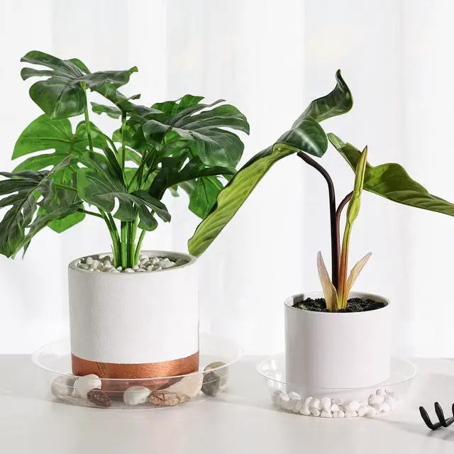 Alt view image 6 of 7 - 15 Pack(6 inch/8inch/10inch) Clear Plant Saucers Flower Pot Tray Excellent for Indoor & Outdoor Plants