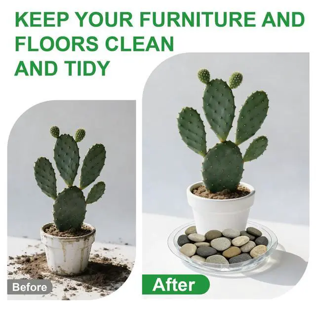 Alt view image 4 of 7 - 20 Pack Clear Plant Saucers (6/8/10/12 in) Indoor/Outdoor | Plant Saucer, Plant Trays, Plant Drip Trays, Plant Water Catcher Tray, Plastic Trays for Plants, Flower Pot Saucers.