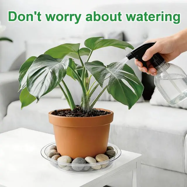 Alt view image 5 of 7 - 20 Pack Clear Plant Saucers (6/8/10/12 in) Indoor/Outdoor | Plant Saucer, Plant Trays, Plant Drip Trays, Plant Water Catcher Tray, Plastic Trays for Plants, Flower Pot Saucers.