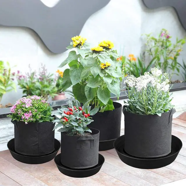 Alt view image 5 of 7 - Plant Saucer 4 Pack 10 inch Heavy Drainage Tray for Indoors No Holes, 12 14 16 18 20 25 Inch Plastic Plant saucers Water Catcher for Pots Base Extra-Deep Plant Trays for Flower Pot (10 Inch, Black)