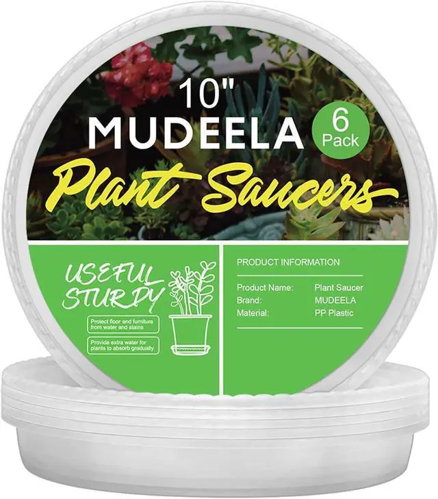 Main image of 6-Pack Plastic Plant Saucers Tray for Indoor, 10 Inches, Clear | Durable, Thicker, Stronger, Deeper, Round Plant Dish Pant Plate to Catch Water for Flower and Plant Pot