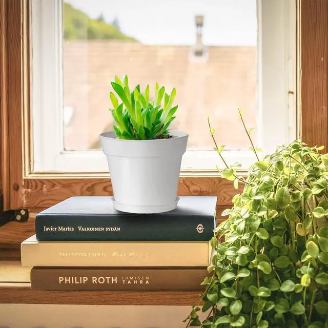 Alt view image 4 of 7 - 28 Pack 4 inch Small Plant Pots, Plastic Planters with Drainage Holes and Saucers for Flowers Plants, Succulents, Seed Starting Pots, White