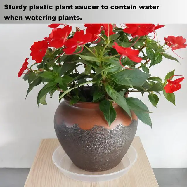 Alt view image 7 of 7 - 20 Pack Plant Saucer Tray (6 8 10 12 inch), Plant Saucers for Indoors Outdoor, Plastic Heavy Duty Drainage Drip Water Trays for Planter Pots Flower, Clear Pot Saucers Trays for Plants