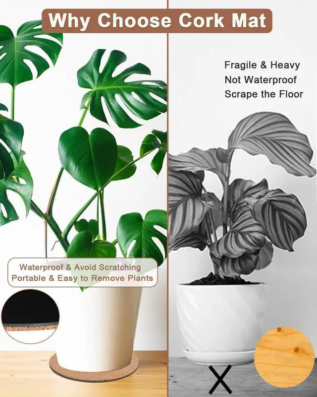 Alt view image 5 of 6 - Cork Plant Coasters, 12 Pack Plant Mats in 4/6/8 Inch for Pots | 12 Pack Cork Plant Coasters in 4/6/8 Inch Sizes, Round Absorbent Mats Help Protect Tables and Floors from Water Marks