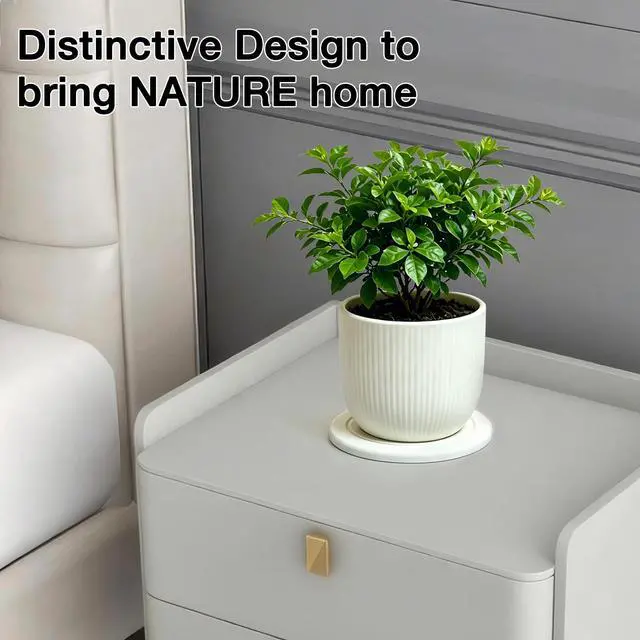 Alt view image 7 of 7 - Instant Dry Diatomaceous Earth Plant Saucer, Round Stone Drip & Drainage Tray for Indoor Outdoor, Absorbent Pot Coaster, Housewarming Gift, Keep Floors Dry and Clean (2,6in,White)