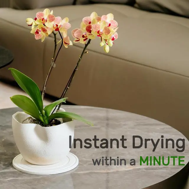 Alt view image 2 of 6 - Diatomaceous Earth Plant Saucer for Indoor, 2 Pack 8 inch, Instant Dry Pot Saucer, Plant Drip & Drainage Tray for Indoor, Off White