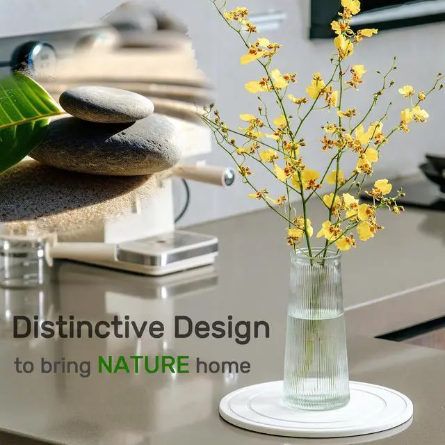 Alt view image 3 of 6 - Diatomaceous Earth Plant Saucer for Indoor, 2 Pack 8 inch, Instant Dry Pot Saucer, Plant Drip & Drainage Tray for Indoor, Off White