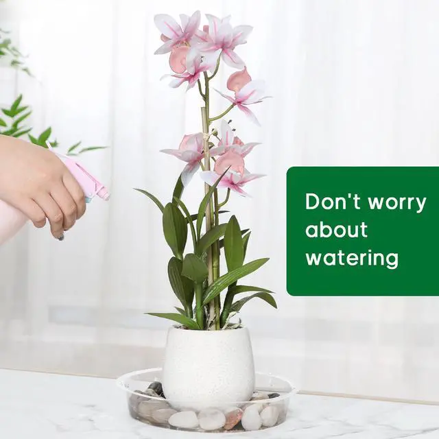 Alt view image 6 of 7 - 20 Pack Clear Plant Saucers6/8/10/12 Inch,Plastic Flower Pot Trays,Round Durable Plant Drip Trays for Indoor and Outdoor