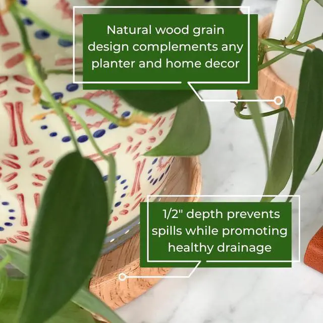 Alt view image 2 of 7 - Ceramic Plant Saucer | Plant Trays for Indoors | Drip Tray | Plant Pot Saucers (4.5in + 5.75in, Wooden Grain)