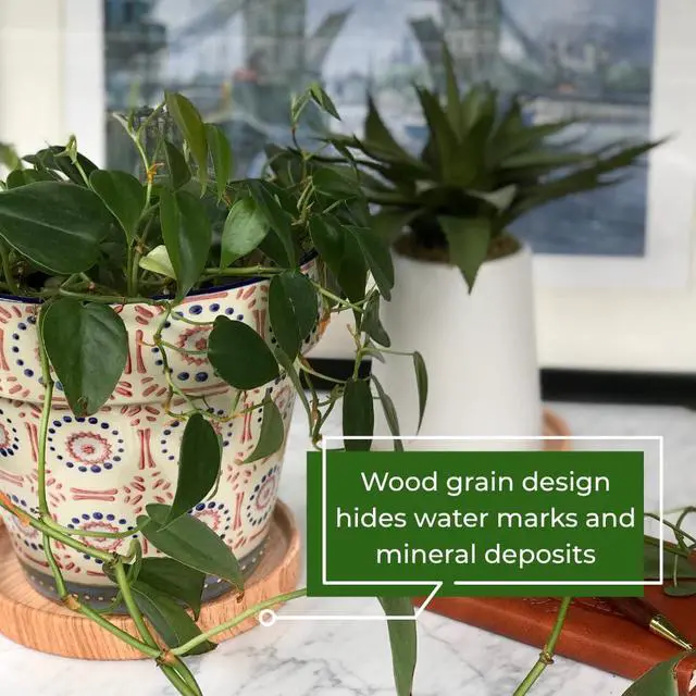 Alt view image 3 of 7 - Ceramic Plant Saucer | Plant Trays for Indoors | Drip Tray | Plant Pot Saucers (4.5in + 5.75in, Wooden Grain)