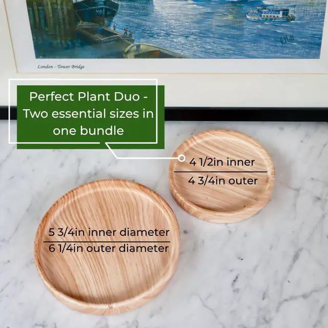 Alt view image 7 of 7 - Ceramic Plant Saucer | Plant Trays for Indoors | Drip Tray | Plant Pot Saucers (4.5in + 5.75in, Wooden Grain)