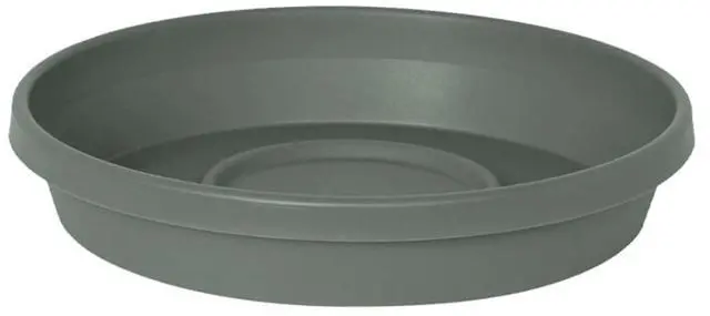 Main image of Terra 12 in. Basil Flower Pot Saucer - 1 Each