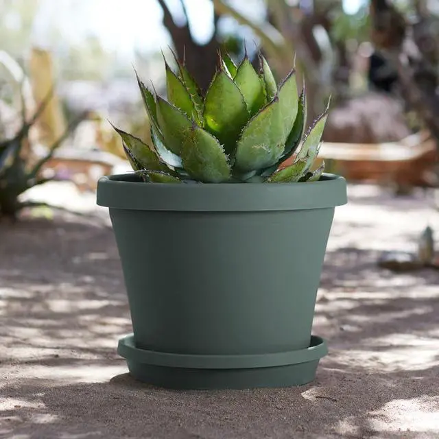Alt view image 6 of 6 - Terra 12 in. Basil Flower Pot Saucer - 1 Each