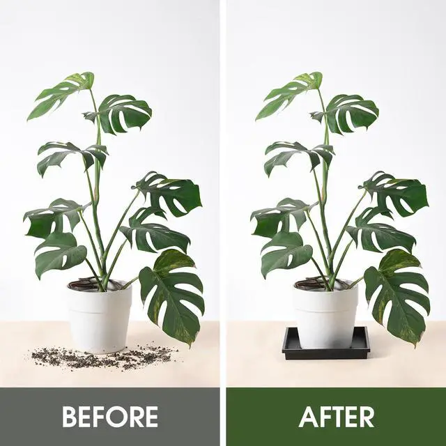 Alt view image 3 of 7 - Square Plant Saucer 10 Inch 2 Pack Tray Plastic Pot for Outdoor | Indoors Flower 8 10 12 14 16 Inch Heavy Duty Black Planter No Holes Drip