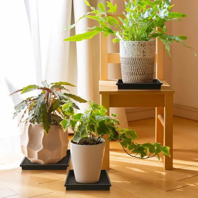 Alt view image 4 of 7 - Square Plant Saucer 10 Inch 2 Pack Tray Plastic Pot for Outdoor | Indoors Flower 8 10 12 14 16 Inch Heavy Duty Black Planter No Holes Drip
