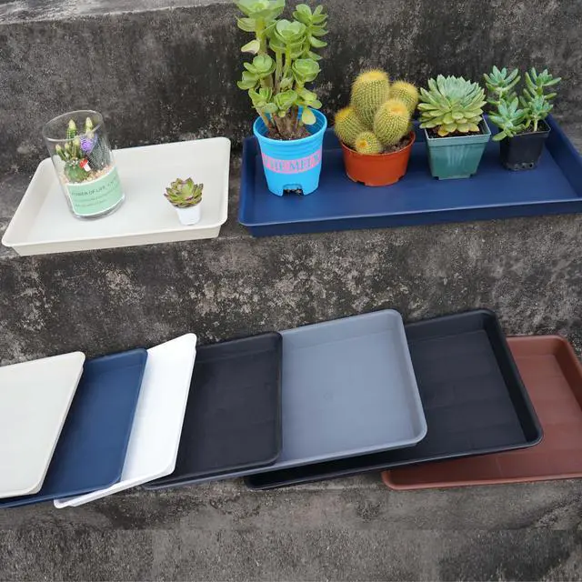 Alt view image 3 of 7 - Plant Saucer Growing Tray, Seed Starter Tray Rectangular, Heavy Sturdy Plastic Plant Drainage Saucers, Plant Drip Trays for Pots, Seed Starter Growing Trays (11 x 9 inch, 2 Pack)