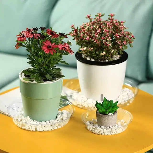 Alt view image 5 of 7 - 50 Packs 4" Small Clear Plant Saucers for Indoor Outdoor Use Heavy Duty Plastic Plant Trays for Planter Bulk Flower Pot Drip Trays to Catch Water, 4 to 20 Inch, Round Transparent