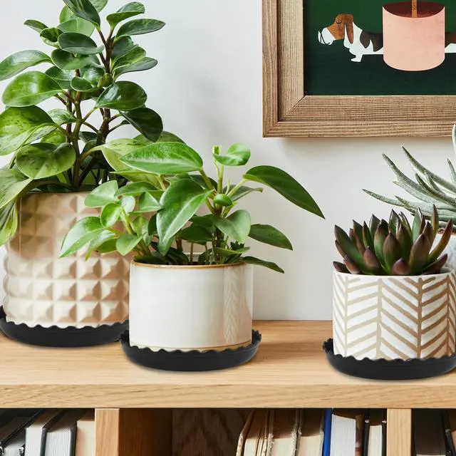 Alt view image 5 of 7 - 12 Packs Wave Plant Saucer - Plastic Flower Pot Drip Trays/Durable Heavy Duty Black Plant Tray for Indoor and Out Door Plant(6/8/10 inch)