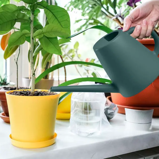 Alt view image 4 of 7 - Indoor and Outdoor Watering Can - Long Spout -1/2 Gallon (64oz) - Blackish Green