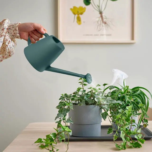 Alt view image 6 of 7 - Indoor and Outdoor Watering Can - Long Spout -1/2 Gallon (64oz) - Blackish Green