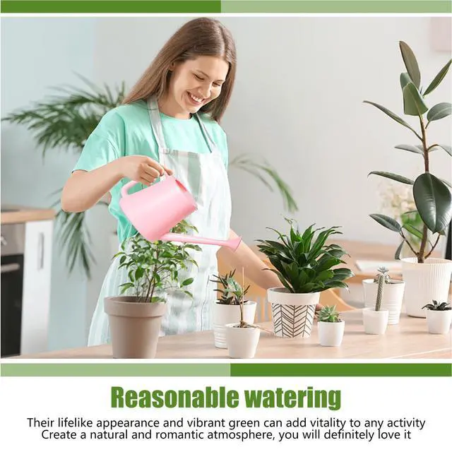 Alt view image 3 of 7 - Plant Watering Can - for Indoor and Outdoor Home Garden Plants - with Long Spout - Light Green - 1/2 Gallon