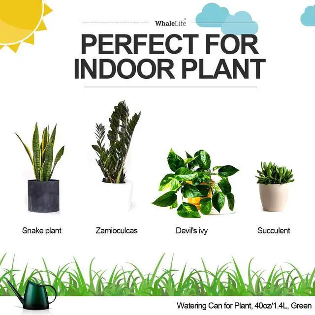 Alt view image 2 of 7 - Small Indoor Plant Watering Can - 1.4L Dark Green Long Spout | Long Spout Prevents Spills Fits 5 Potted Bonsais Ergonomic Grip Precise Control Stylish Nordic Vibe Decor