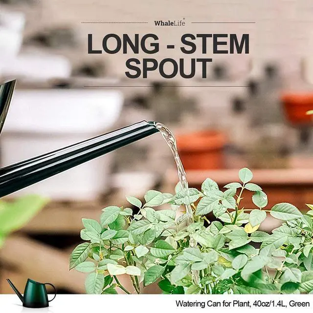 Alt view image 7 of 7 - Small Indoor Plant Watering Can - 1.4L Dark Green Long Spout | Long Spout Prevents Spills Fits 5 Potted Bonsais Ergonomic Grip Precise Control Stylish Nordic Vibe Decor