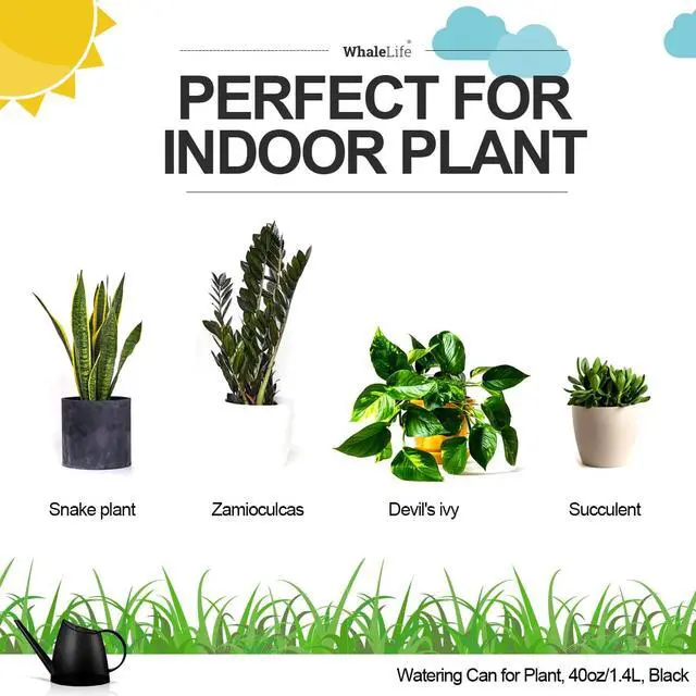 Alt view image 2 of 7 - Small Indoor Plant Watering Can Long Spout 1.4L Black | Long Spout Prevents Spills Fits 5 Potted Bonsais Ergonomic Grip Precise Control Stylish Nordic Vibe Decor