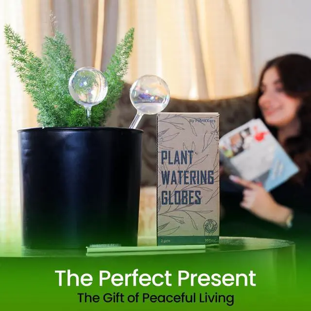 Alt view image 7 of 7 - Iridescent Self Watering Globes, Glass Rainbow Plant Watering Globes, Self Watering Planter Insert, Automatic Plant Waterer Indoor (Medium-2 Pcs Iridescent, Medium)