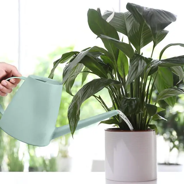 Alt view image 6 of 7 - Plant Watering Can - Plastic Indoor and Outdoor - 1/2 Gallon - Light Green