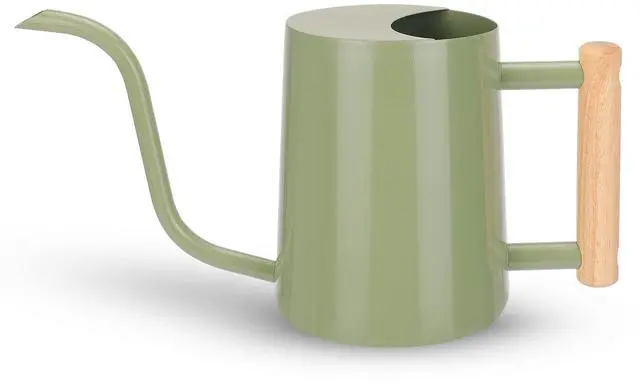 Main image of Metal Watering Can for Indoor Plants, 35oz Sage Green Cute Stainless Steel Pot with Long Spout for Indoor House Plants Bonsai Outdoor Garden Flower Decorative