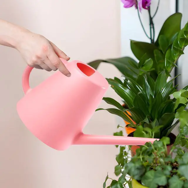 Alt view image 7 of 7 - Plant Watering Cans for Indoor and Outdoor Home Garden Plants - with Long Spout - Pink - 1/2 Gallon