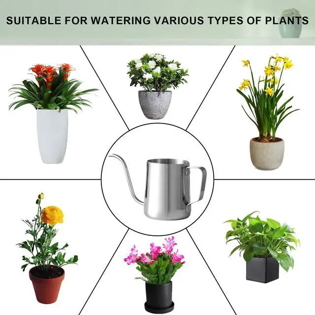 Alt view image 6 of 7 - Small Watering Can for Indoor Plants, Plant Watering Can, 12 oz | Mini watering can for indoor plants; indoor watering can with long spout and handle, 350 ml, rust-proof 304 stainless steel.