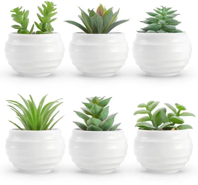 Main image of 6 Pack Succulents Fake Plants for Bedroom Bathroom Home Decor | Palm-sized small fake plants,ideal for bedroom bathroom aesthetic living room decor,office desk accessories,gift for women