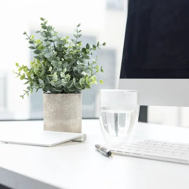 Alt view image 6 of 7 - 2 Pack Small Fake Plants Eucalyptus Potted,Sage Green | Small Space Artificial Plants for Bathroom Shelf Office Desk Home Farmhouse Room Coffee Table Tray Decor