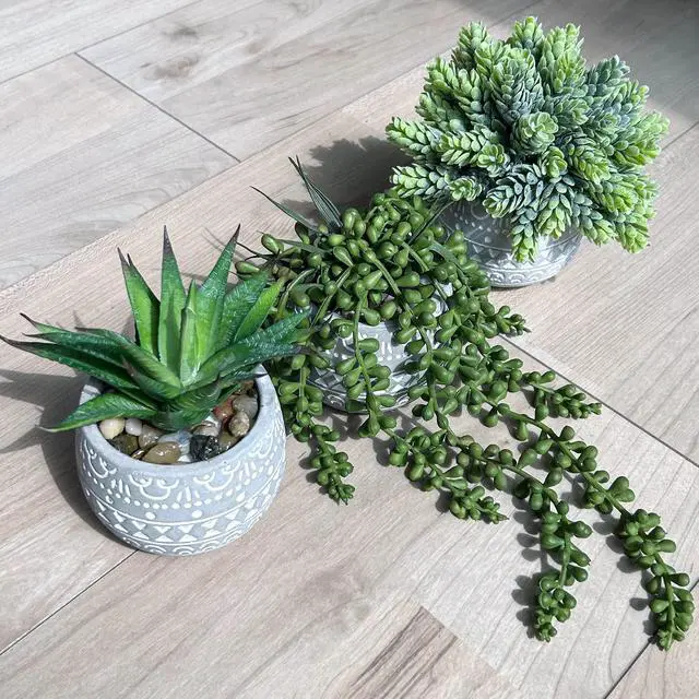 Alt view image 7 of 7 - 3 Pcs Assorted Small Potted Succulent Plants Artificial Aloe Hops String of Pearls Succulents in Gray Geometric Concrete Pots for Gifts Table Shelf Windowsill Indoor Outdoor Greenery Decor