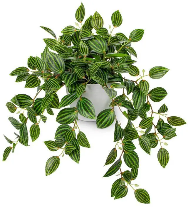 Main image of Artificial Potted Plant Indoor, 17.7" Faux Watermelon Peperomia Trailing Plant in White Plastic Pot Realistic Fake Cascading Greenery for Shelf Bathroom Office Desk Tabletop Home Decor
