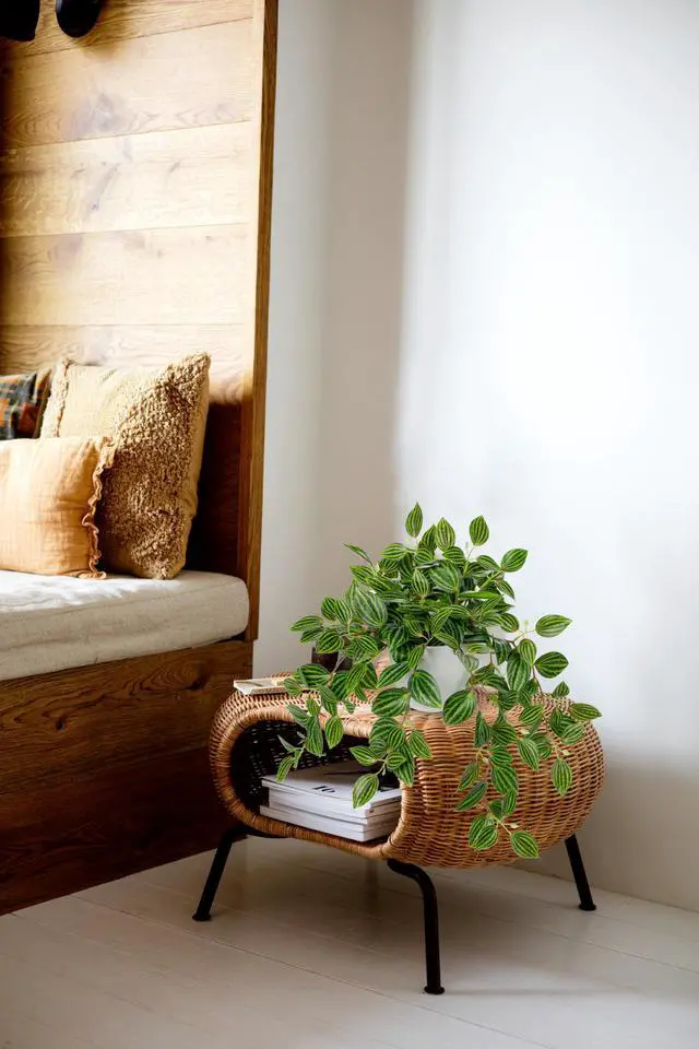 Alt view image 6 of 6 - Artificial Potted Plant Indoor, 17.7" Faux Watermelon Peperomia Trailing Plant in White Plastic Pot Realistic Fake Cascading Greenery for Shelf Bathroom Office Desk Tabletop Home Decor