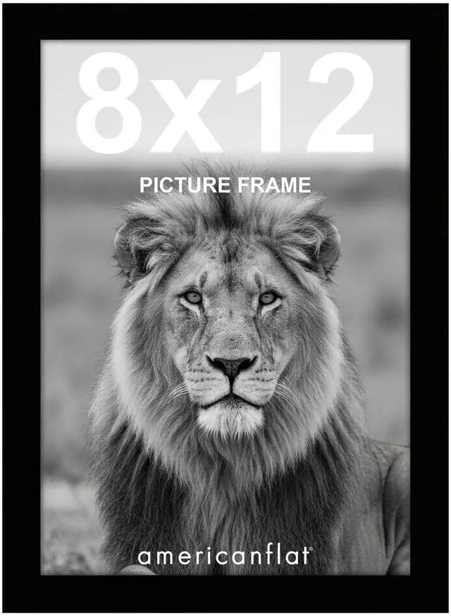 Main image of 8x12 Picture Frame - Engineered Wood - Black