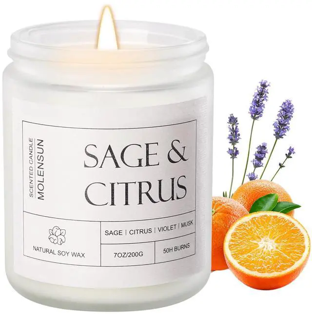 Main image of Sage Citrus Scented Candle, Soy Wax 7 oz | Fresh sage and citrus aromatherapy fragrance; 50H burn long-lasting jar candle; Gift for women
