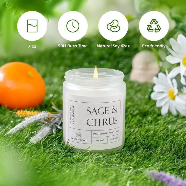 Alt view image 3 of 6 - Sage Citrus Scented Candle, Soy Wax 7 oz | Fresh sage and citrus aromatherapy fragrance; 50H burn long-lasting jar candle; Gift for women