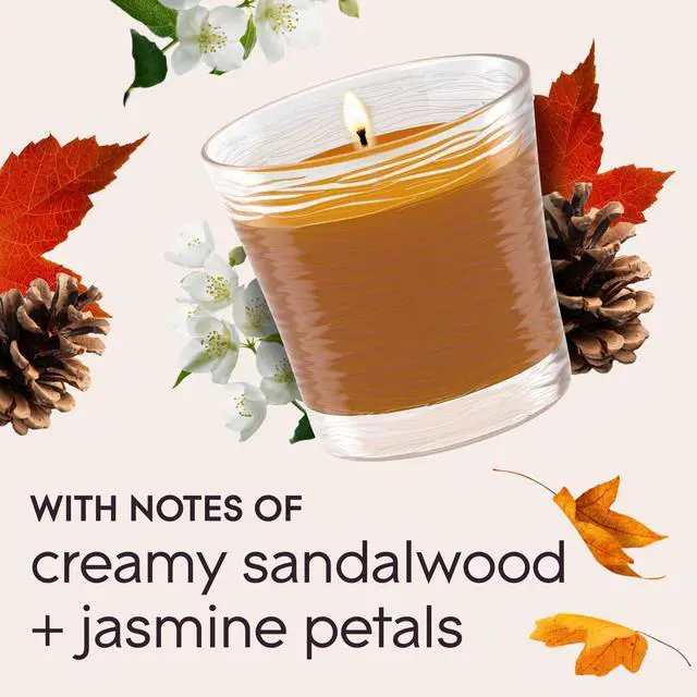 Alt view image 6 of 7 - 1-Wick Scented Candle Jar, Cashmere Woods, Air Freshener Infused with Essential Oils, 4.08 Oz, 2 Count