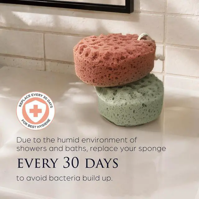 Alt view image 6 of 7 - Spongentle Loofah Sponge for Shower and Bathing, Bath Sponge with Dual Texture, Shower Pouf for Gentle and Deep Exfoliation, Large Size Body Scrubber for Men & Women, PU Foam, 37% More Lather, 2 Pack